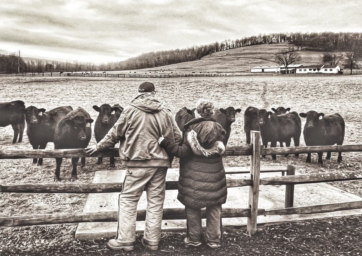 Full-Service Butcher at Tubmill Creek Provisions in Ligonier, PA